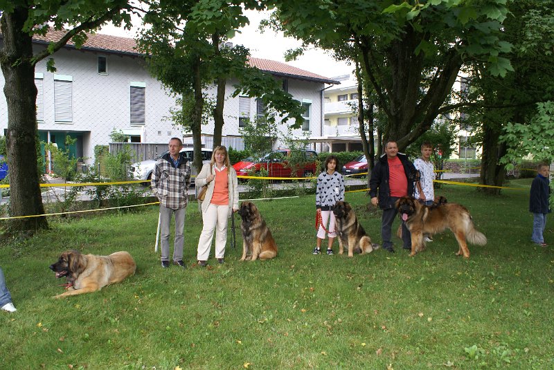 Nachzuchttreffen 08_08 021.jpg - Versammlung des A-Wurfes